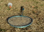 Kaiyuan Game Card-韩国羽毛球队爆冷中国羽毛球队，辛杜惊艳世界