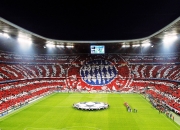 开云棋牌试玩-托尼的爆发，阿根廷如何凭借关键一击战胜比利时，向冠军迈进