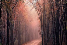 开云官网-part1：篮球王朝攻陷足球圣地？一场离奇热搜的诞生