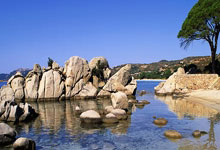 开云棋牌官方-LGD险胜DK，Bin单局斩获MVP淘汰赛2:0