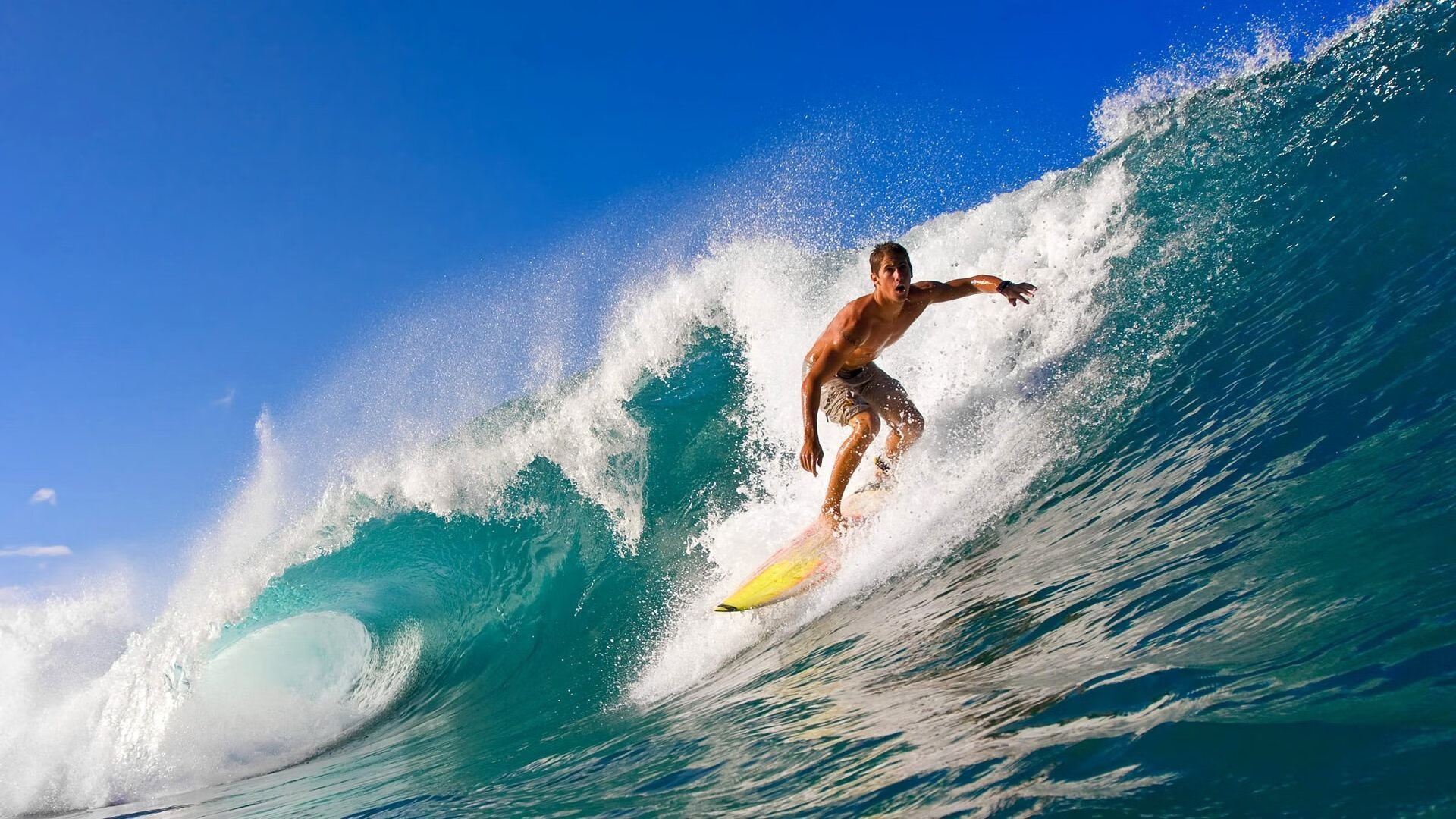 福克斯闪耀全场,广厦闪电战速胜雄鹿,展现团队篮球新高度